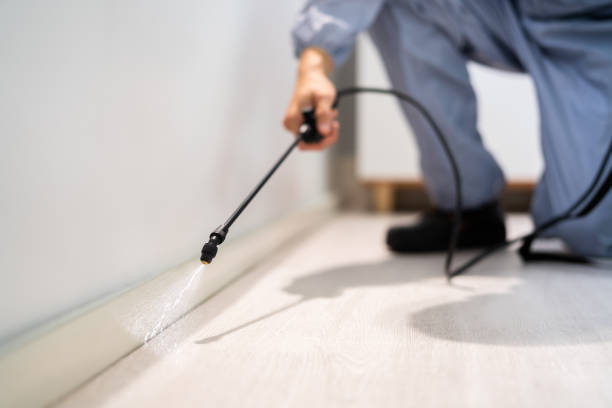 Bed Bug Pre-Treatment Preparation Assessment in Wilmington Island