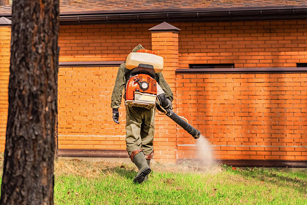 Bed Bug Clearance Verification and Documentation in Wilmington Island